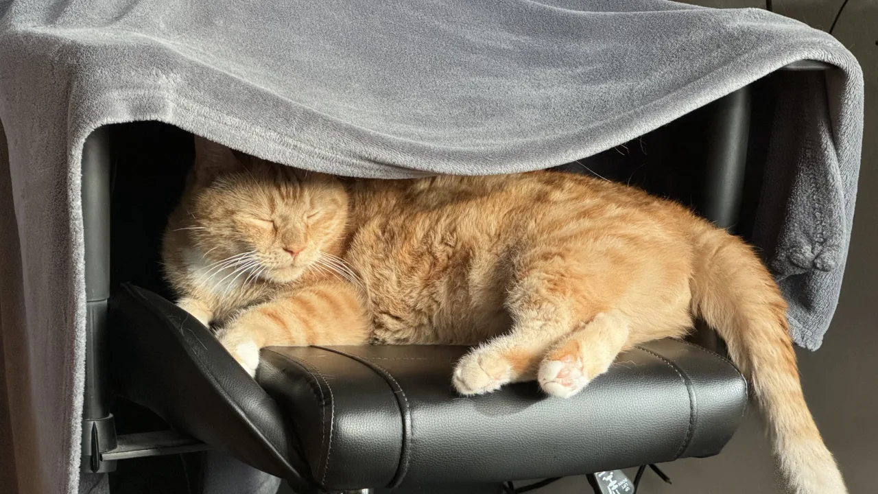Azlan: On dads chair.